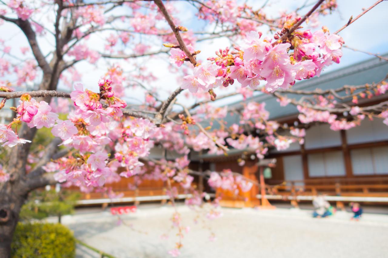 Stay Sakura Kyoto Shijo Karasuma Luaran gambar