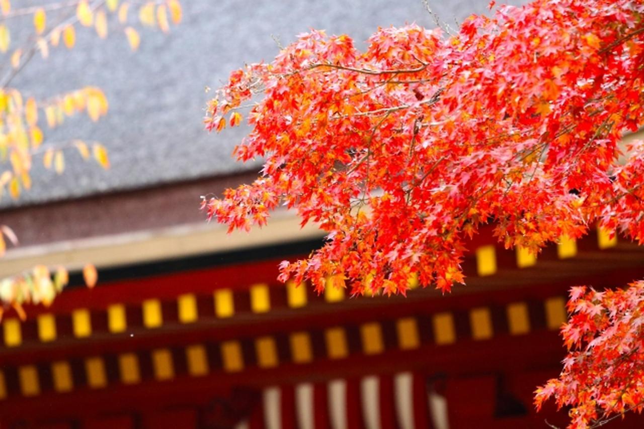 Stay Sakura Kyoto Shijo Karasuma Luaran gambar